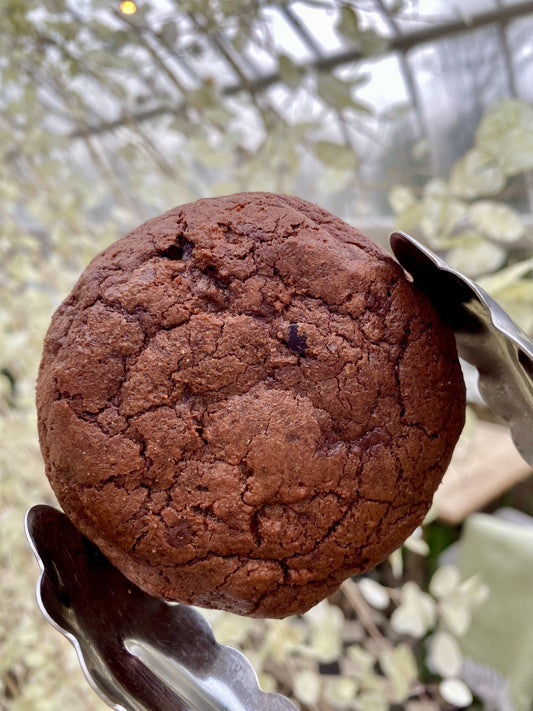 Rye and Chocolate Cookie