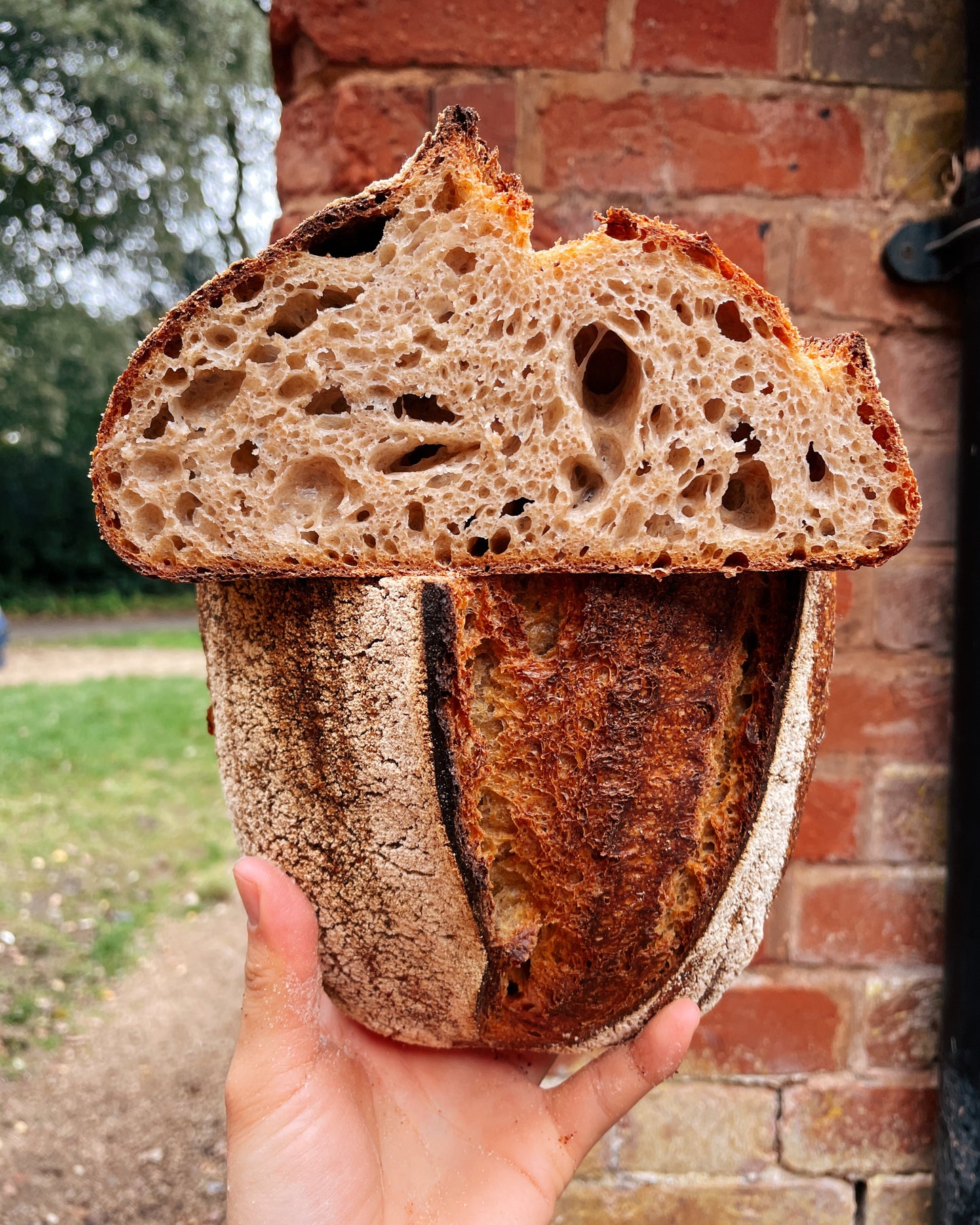 Village Sourdough