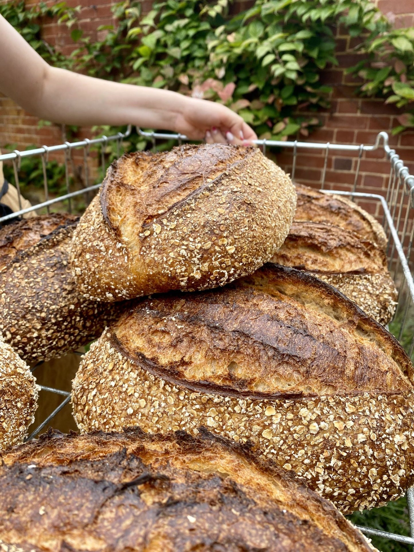 Fermented Oat Sourdough