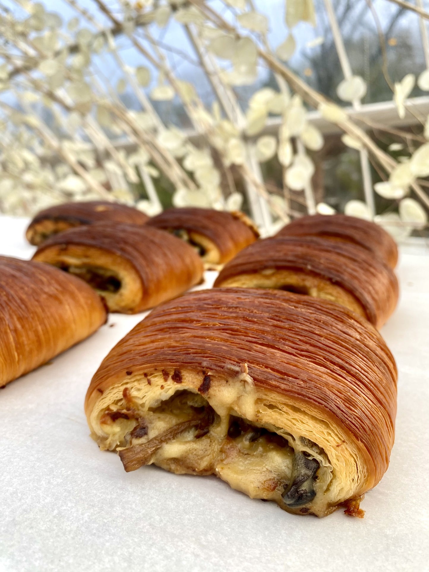 Wild Mushroom Pain Suisse