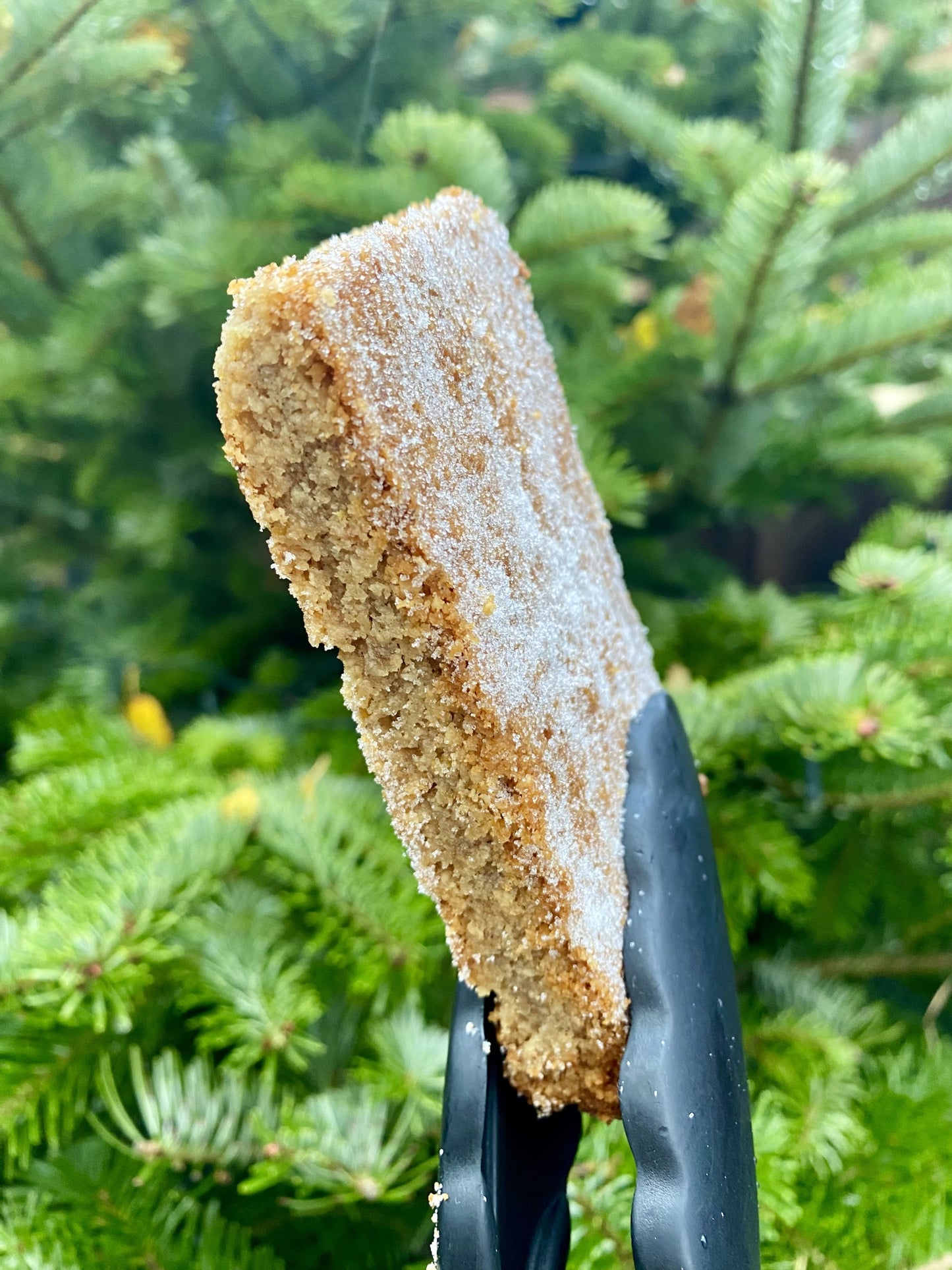 Buckwheat & Hazelnut Shortbread